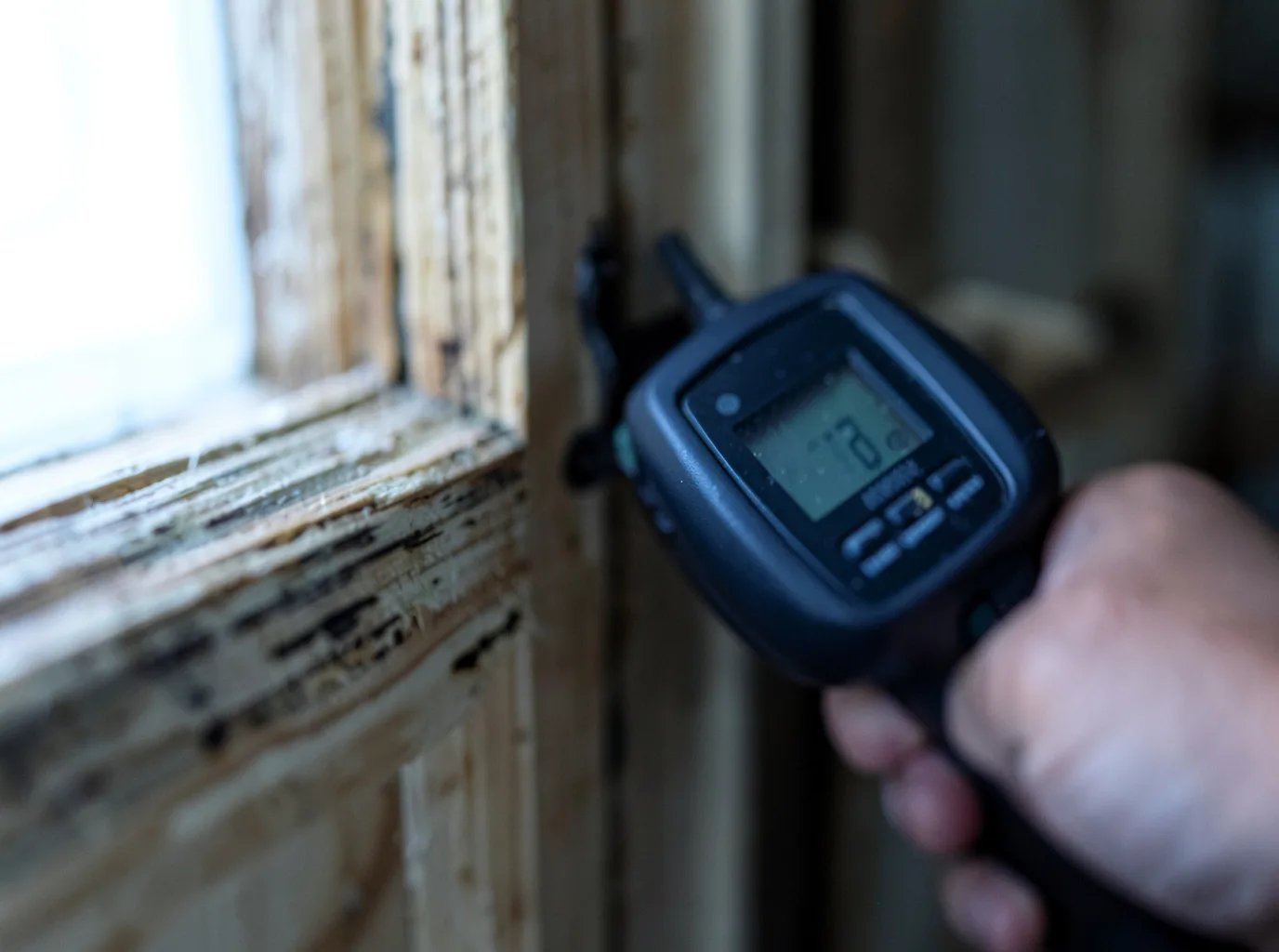 Moisture Inspection And Documentation in Streeter, ND